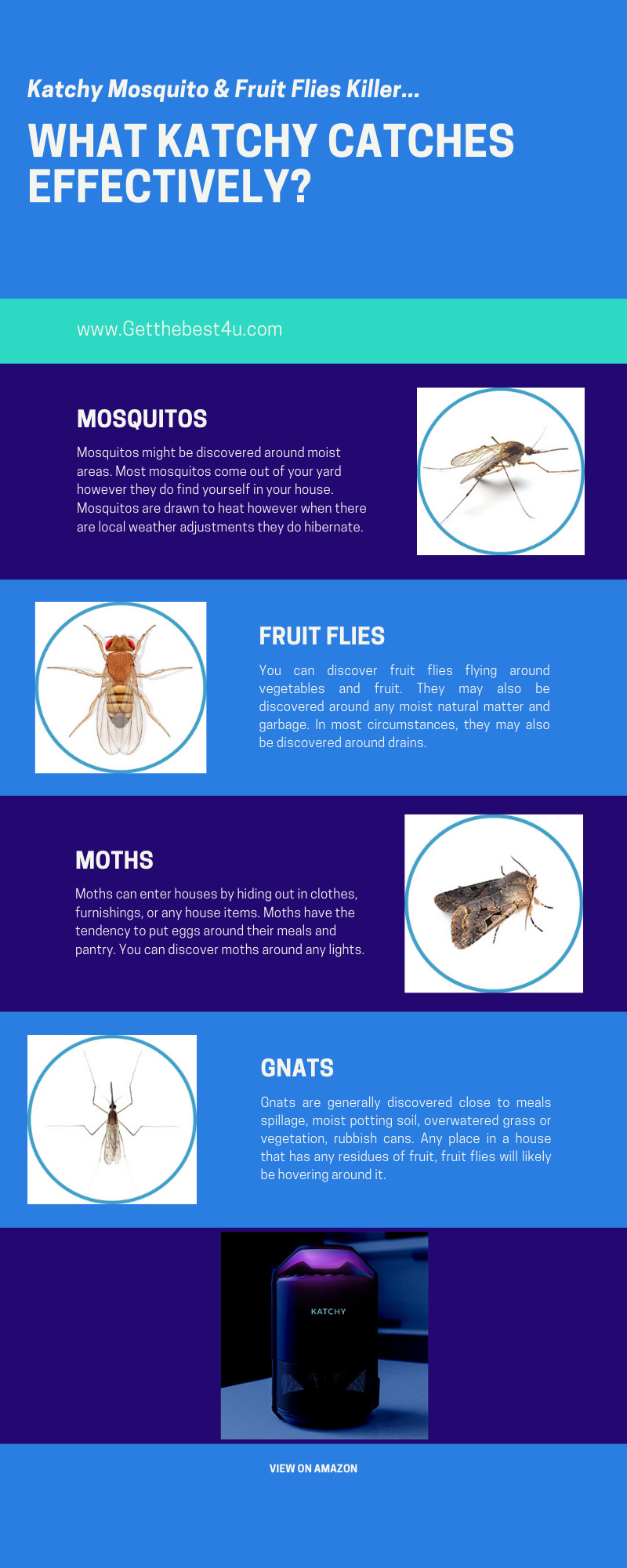 Best Mosquito & Fruit Flies Killer 2021 - Katchy Indoor Insect Trap